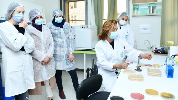 A photo from the laboratory