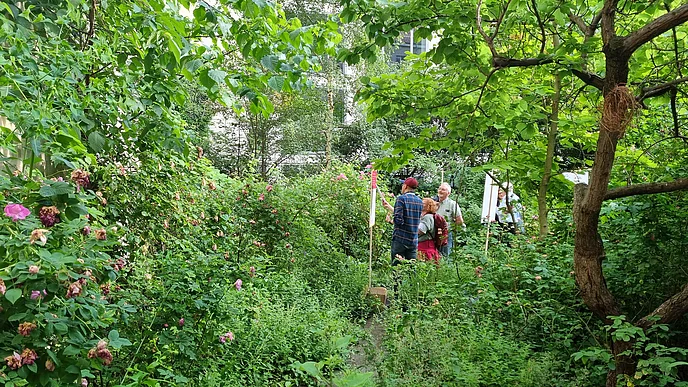 BBAW Garden