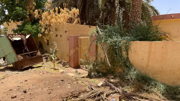 Environmental Destruction in Urban Areas