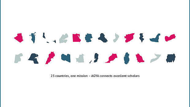 Graphic of coloured shapes of Arabic countries and Germany
