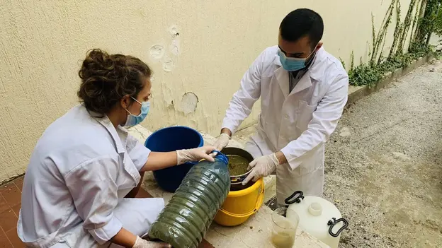 Scientists at University of St Joseph in Lebanon