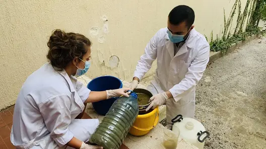 Scientists at University of St Joseph in Lebanon
