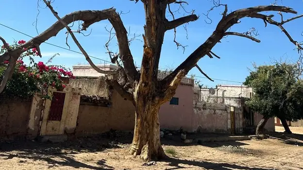 Environmental Destruction in Urban Areas