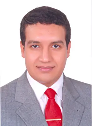  Walid Elgaher