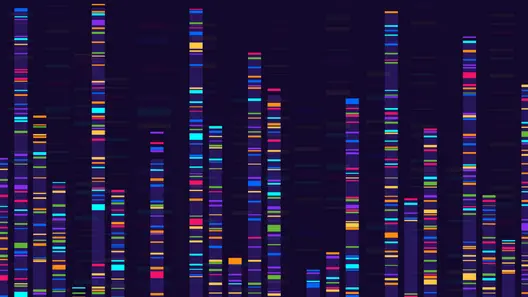 Key Visual Metatranscription