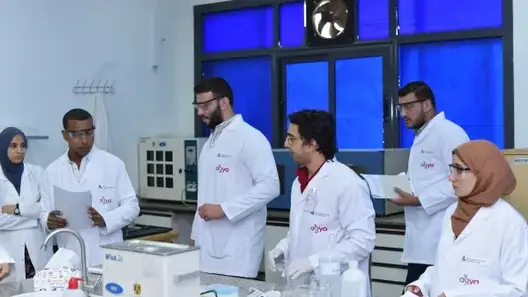 the practical course