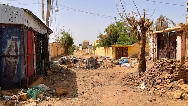 Environmental Destruction in Urban Areas