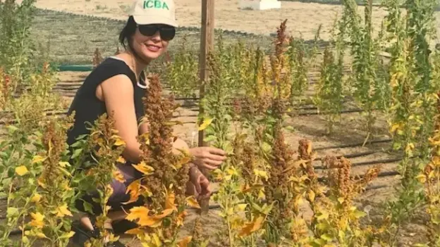a woman in a crop field