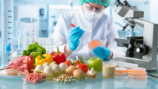 Key visual Food Safety