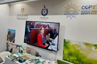 The COP27