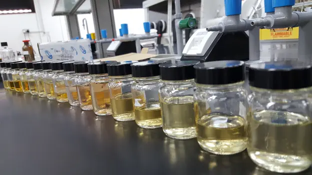 Laboratory samples filled in glasses next to each other
