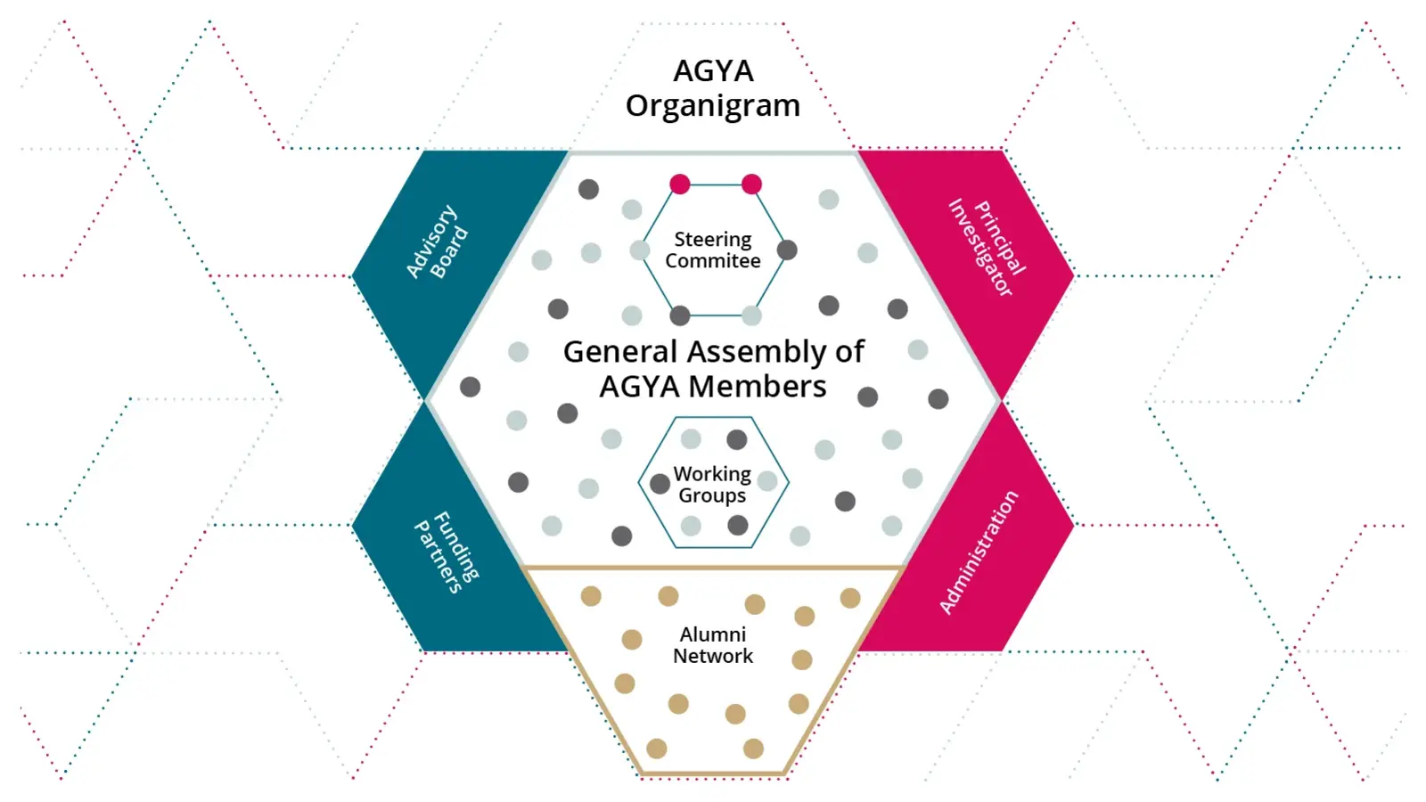 AGYA Organigram