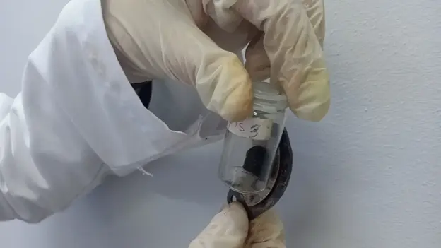 Iron oxide nanomaterials fabricated at Fayoum University