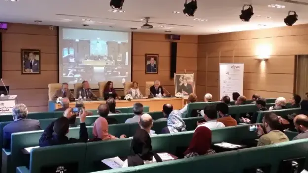 Picture of workshop panel discussion